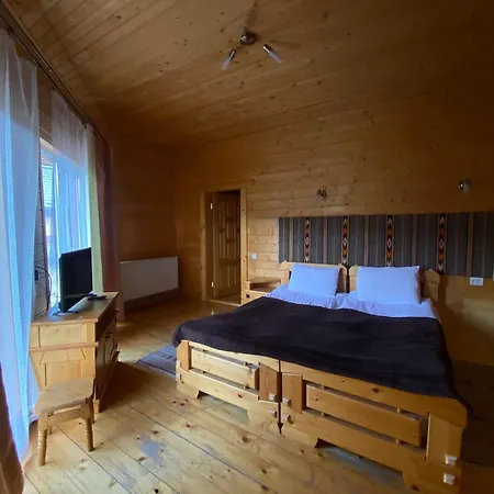 під каштаном 게스트하우스 보로크타